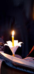 Свет истины Евангелия.
Фрагьент фото с сайта УПЦ МП URL: http://orthodox.org.ua