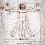 Леонардо да Винчи.  Рисунок человекав в его совершенных пропорциях. (Фрагмент)